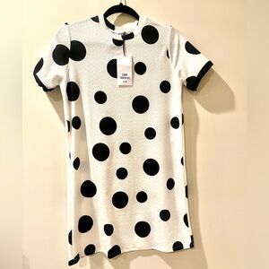 Zara Polka Dot Trafaluc Dress